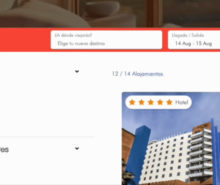 Search Animation
